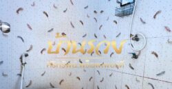 ห้องเช่า 2ชั้น 12 ห้อง ขายพร้อมผู้เช่า ซอยสวนสนบางปลา ใกล้ตลาดเรือบิน