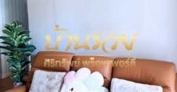 #ให้เช่าบ้าน ทาวน์เฮ้าส์ 2 ชั้น หมู่บ้านอารียา บางนา ใกล้เมกา บางนา และทางด่วนบูรพาวิถี